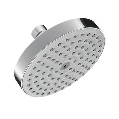 Hansgrohe 4342000- HG Raindance S 150 1Jet Showerhead